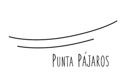 Captura De Pantalla 2026 01 29 A La(s) 12.16.10 P.m.